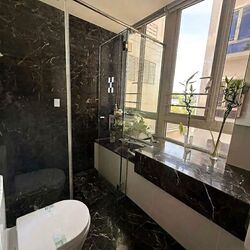 Flamingo Valley (D15), Condominium #574027731